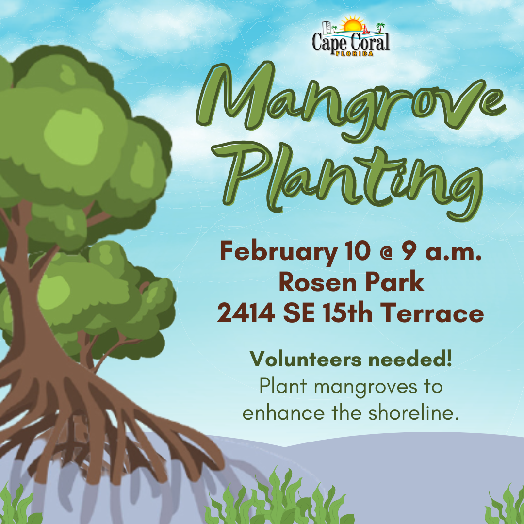 Mangrove Planting Event V2